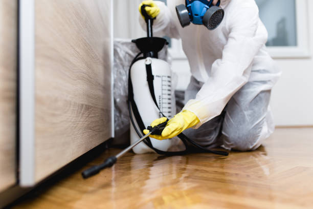 Best Termite Control Services  in Wormleysburg, PA