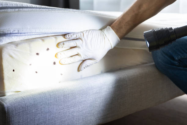 Pest Control for Restaurants in Wormleysburg, PA