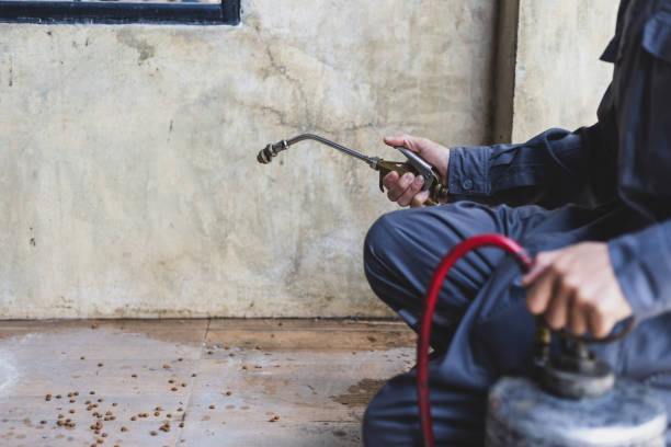 Best Mosquito Control Services  in Wormleysburg, PA